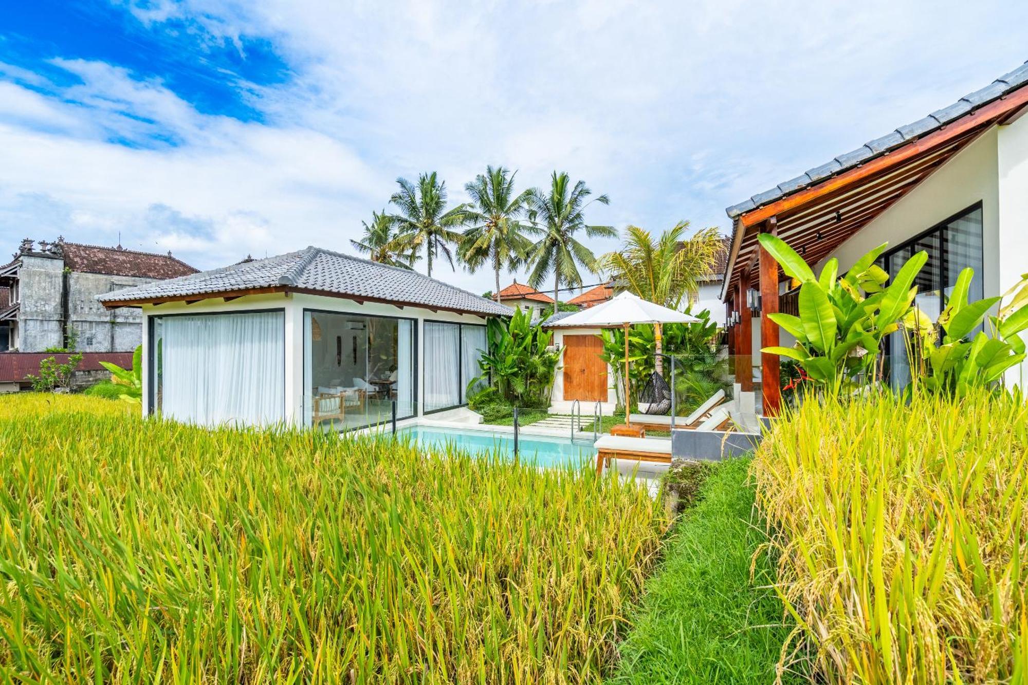 Villa Rice Field